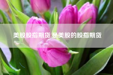 美股股指期货,是美股的股指期货