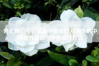 外汇牌价今日最新中国银行,从国外的中国银行往国内中国银行打钱