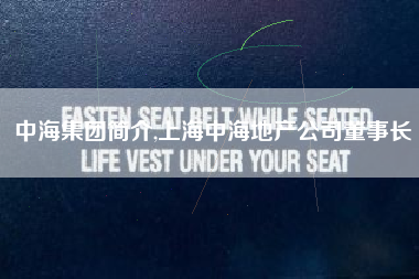 中海集团简介,上海中海地产公司董事长