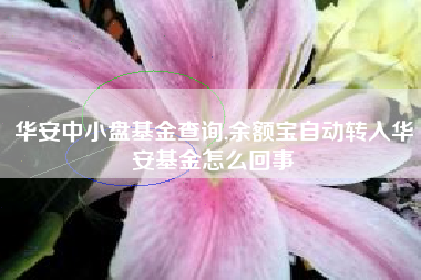 华安中小盘基金查询,余额宝自动转入华安基金怎么回事