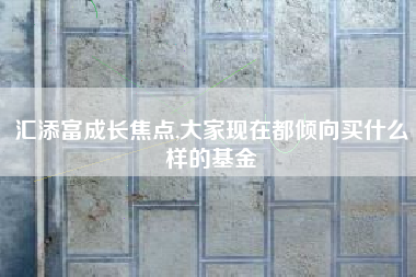 汇添富成长焦点,大家现在都倾向买什么样的基金