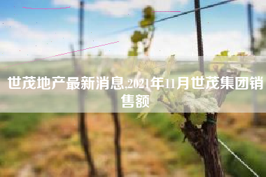 世茂地产最新消息,2021年11月世茂集团销售额