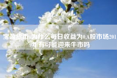 宝盈货币a为什么每日收益为0,A股市场2019年有可能迎来牛市吗