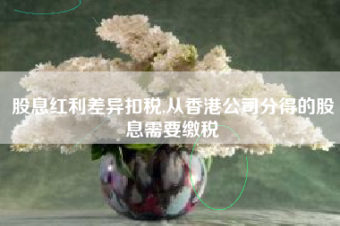 股息红利差异扣税,从香港公司分得的股息需要缴税