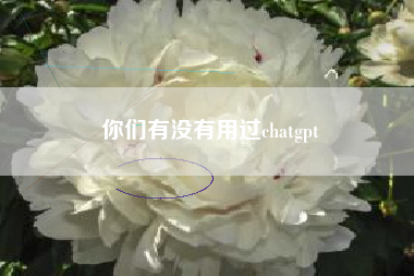 你们有没有用过chatgpt
