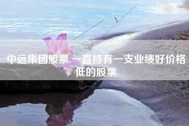 中远集团股票,一直持有一支业绩好价格低的股票