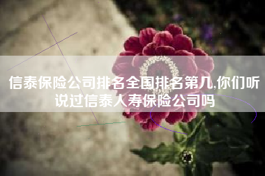 信泰保险公司排名全国排名第几,你们听说过信泰人寿保险公司吗