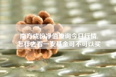 南方成份净值查询今日行情,
怎样去看一支基金可不可以买 南方成份净值查询今日行情,
怎样去看一支基金可不可以买