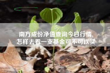 南方成份净值查询今日行情,
怎样去看一支基金可不可以买 南方成份净值查询今日行情,
怎样去看一支基金可不可以买
