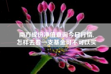 南方成份净值查询今日行情,
怎样去看一支基金可不可以买 南方成份净值查询今日行情,
怎样去看一支基金可不可以买