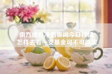 南方成份净值查询今日行情,
怎样去看一支基金可不可以买 南方成份净值查询今日行情,
怎样去看一支基金可不可以买