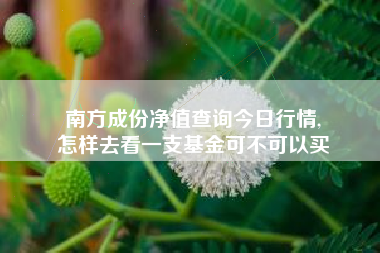 南方成份净值查询今日行情,
怎样去看一支基金可不可以买 南方成份净值查询今日行情,
怎样去看一支基金可不可以买