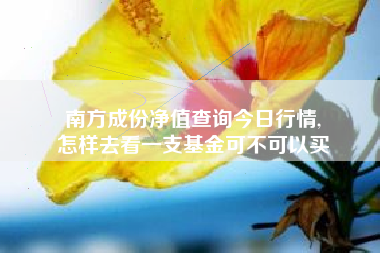 南方成份净值查询今日行情,
怎样去看一支基金可不可以买 南方成份净值查询今日行情,
怎样去看一支基金可不可以买