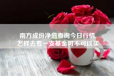 南方成份净值查询今日行情,
怎样去看一支基金可不可以买 南方成份净值查询今日行情,
怎样去看一支基金可不可以买