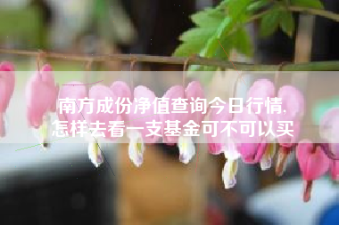 南方成份净值查询今日行情,
怎样去看一支基金可不可以买 南方成份净值查询今日行情,
怎样去看一支基金可不可以买