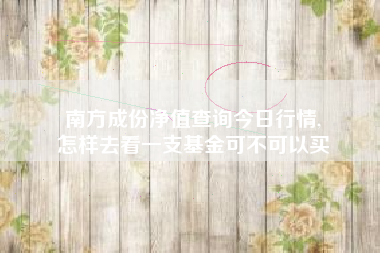 南方成份净值查询今日行情,
怎样去看一支基金可不可以买 南方成份净值查询今日行情,
怎样去看一支基金可不可以买