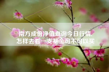 南方成份净值查询今日行情,
怎样去看一支基金可不可以买 南方成份净值查询今日行情,
怎样去看一支基金可不可以买