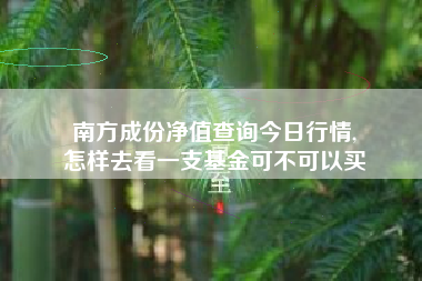 南方成份净值查询今日行情,
怎样去看一支基金可不可以买 南方成份净值查询今日行情,
怎样去看一支基金可不可以买