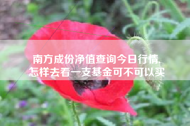 南方成份净值查询今日行情,
怎样去看一支基金可不可以买 南方成份净值查询今日行情,
怎样去看一支基金可不可以买