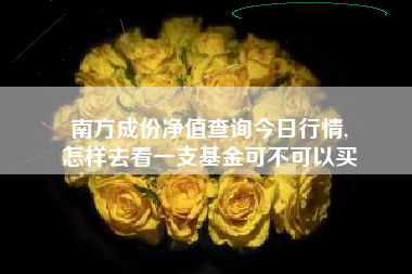 南方成份净值查询今日行情,
怎样去看一支基金可不可以买 南方成份净值查询今日行情,
怎样去看一支基金可不可以买