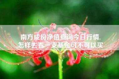 南方成份净值查询今日行情,
怎样去看一支基金可不可以买 南方成份净值查询今日行情,
怎样去看一支基金可不可以买