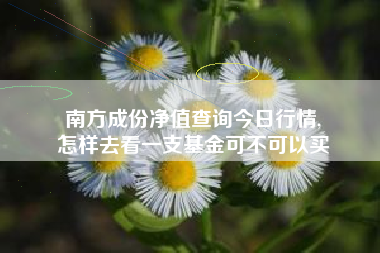 南方成份净值查询今日行情,
怎样去看一支基金可不可以买 南方成份净值查询今日行情,
怎样去看一支基金可不可以买
