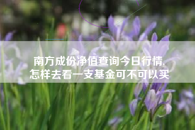 南方成份净值查询今日行情,
怎样去看一支基金可不可以买 南方成份净值查询今日行情,
怎样去看一支基金可不可以买