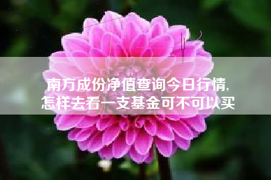 南方成份净值查询今日行情,
怎样去看一支基金可不可以买 南方成份净值查询今日行情,
怎样去看一支基金可不可以买