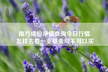 南方成份净值查询今日行情,
怎样去看一支基金可不可以买 南方成份净值查询今日行情,
怎样去看一支基金可不可以买