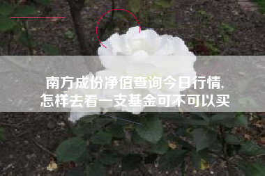 南方成份净值查询今日行情,
怎样去看一支基金可不可以买 南方成份净值查询今日行情,
怎样去看一支基金可不可以买