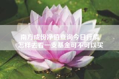 南方成份净值查询今日行情,
怎样去看一支基金可不可以买 南方成份净值查询今日行情,
怎样去看一支基金可不可以买
