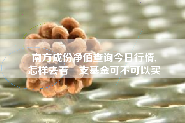 南方成份净值查询今日行情,
怎样去看一支基金可不可以买 南方成份净值查询今日行情,
怎样去看一支基金可不可以买