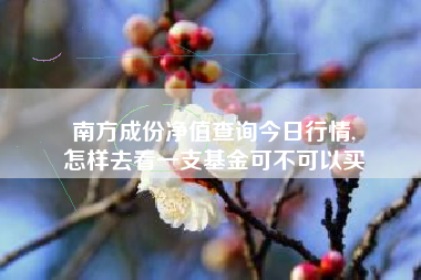 南方成份净值查询今日行情,
怎样去看一支基金可不可以买 南方成份净值查询今日行情,
怎样去看一支基金可不可以买