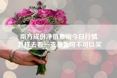 南方成份净值查询今日行情,
怎样去看一支基金可不可以买 南方成份净值查询今日行情,
怎样去看一支基金可不可以买
