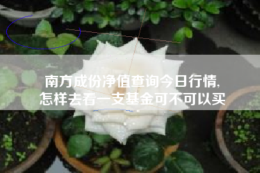 南方成份净值查询今日行情,
怎样去看一支基金可不可以买 南方成份净值查询今日行情,
怎样去看一支基金可不可以买