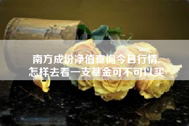 南方成份净值查询今日行情,
怎样去看一支基金可不可以买 南方成份净值查询今日行情,
怎样去看一支基金可不可以买