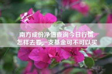 南方成份净值查询今日行情,
怎样去看一支基金可不可以买 南方成份净值查询今日行情,
怎样去看一支基金可不可以买