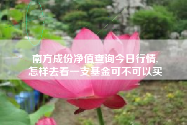 南方成份净值查询今日行情,
怎样去看一支基金可不可以买 南方成份净值查询今日行情,
怎样去看一支基金可不可以买