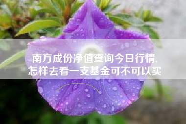 南方成份净值查询今日行情,
怎样去看一支基金可不可以买 南方成份净值查询今日行情,
怎样去看一支基金可不可以买