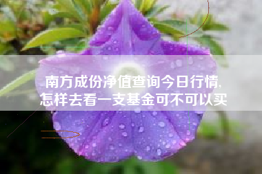 南方成份净值查询今日行情,
怎样去看一支基金可不可以买 南方成份净值查询今日行情,
怎样去看一支基金可不可以买