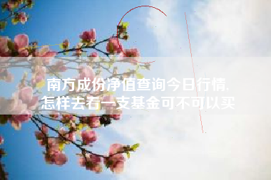 南方成份净值查询今日行情,
怎样去看一支基金可不可以买 南方成份净值查询今日行情,
怎样去看一支基金可不可以买