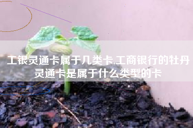 工银灵通卡属于几类卡,工商银行的牡丹灵通卡是属于什么类型的卡