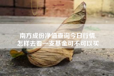 南方成份净值查询今日行情,
怎样去看一支基金可不可以买 南方成份净值查询今日行情,
怎样去看一支基金可不可以买