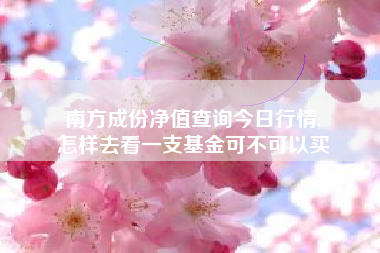 南方成份净值查询今日行情,
怎样去看一支基金可不可以买 南方成份净值查询今日行情,
怎样去看一支基金可不可以买