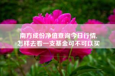 南方成份净值查询今日行情,
怎样去看一支基金可不可以买 南方成份净值查询今日行情,
怎样去看一支基金可不可以买