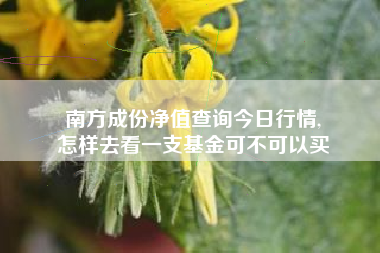 南方成份净值查询今日行情,
怎样去看一支基金可不可以买 南方成份净值查询今日行情,
怎样去看一支基金可不可以买