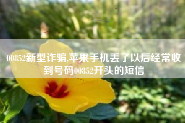 00852新型诈骗,苹果手机丢了以后经常收到号码00852开头的短信