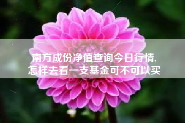 南方成份净值查询今日行情,
怎样去看一支基金可不可以买 南方成份净值查询今日行情,
怎样去看一支基金可不可以买