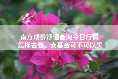 南方成份净值查询今日行情,
怎样去看一支基金可不可以买 南方成份净值查询今日行情,
怎样去看一支基金可不可以买