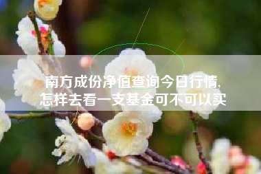 南方成份净值查询今日行情,
怎样去看一支基金可不可以买 南方成份净值查询今日行情,
怎样去看一支基金可不可以买